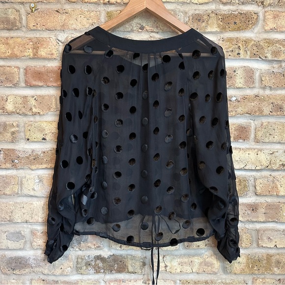 J. Crew Sheer Black Top w/ Velvet Polka Dots & Ruched Sleeves - Picture 7 of 8